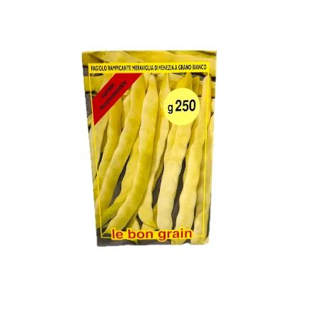 Seminte fasole lata urcatoare galbena Meraviglia di Venezia 250 gr