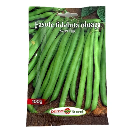 Seminte fasole oloaga verde fideluta Wotter 100 gr, Prima Sementi