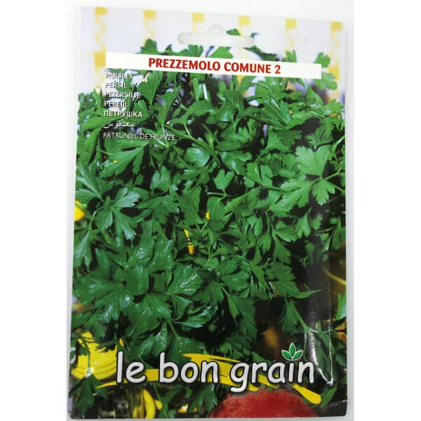 Seminte patrunjel de frunze