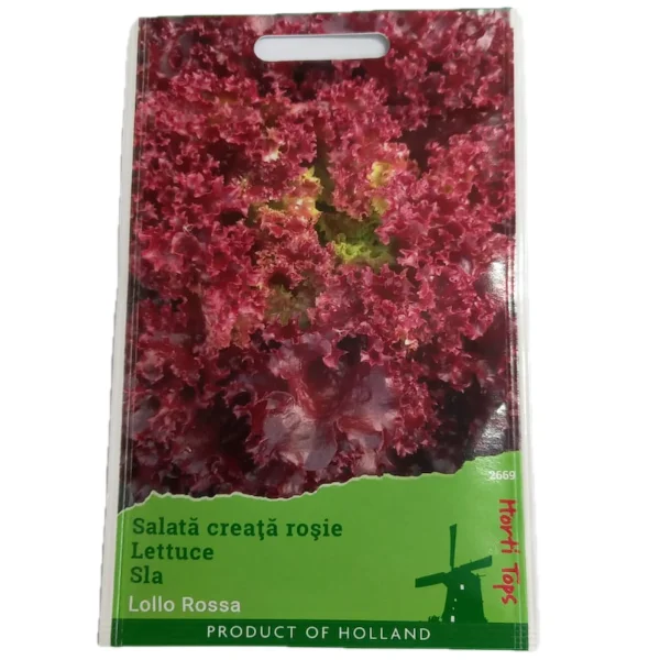Seminte salata Lollo Rossa 2 gr, Holland