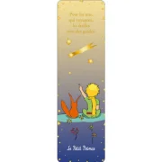 Semn de carte Le Petit Prince Degrade, Kiub