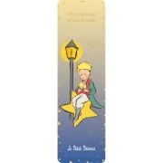 Semn de carte Le Petit Prince et son etoile, Kiub