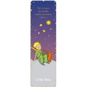 Semn de carte Le Petit Prince Watching Saturn, Kiub