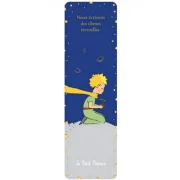 Semn de carte The Little Prince and a Plant, Kiub