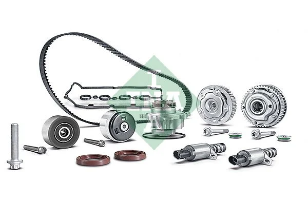 Set dispozitiv de ajustare a arborelui cu came Schaeffler INA 560 0001 10