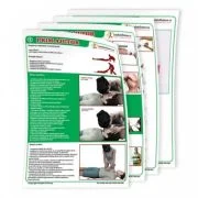 Set planse prim ajutor pentru scolile de soferi, 50 x 70 cm