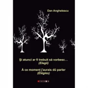 Si atunci ar fi trebuit sa vorbesc… (Elegii) - Dan Anghelescu