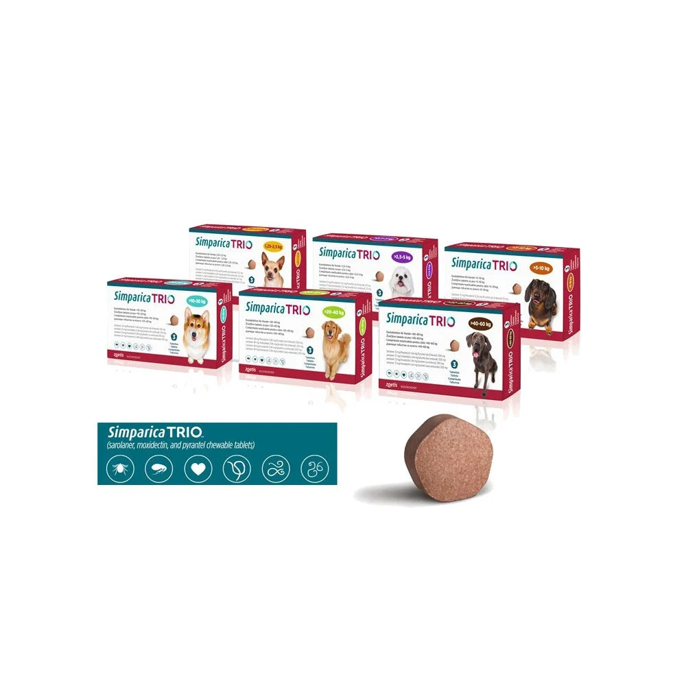 Simparica Trio Caine, 1 tableta