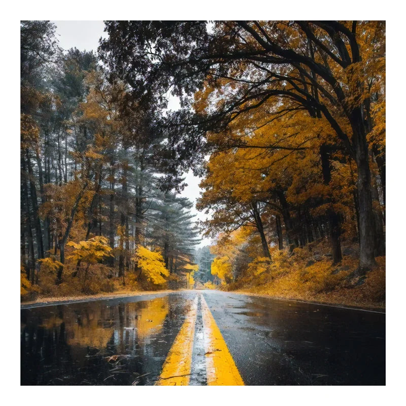 Tablou canvas imprimat digital Savgone 50x1.8x50 cm