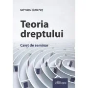 Teoria dreptului. Caiet de seminar - Septimiu Ioan Put