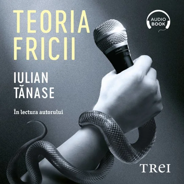 Teoria fricii - Audiobook - Iulian Tănase