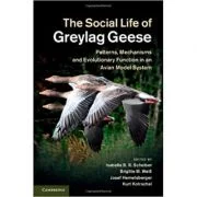 The Social Life of Greylag Geese: Patterns, Mechanisms and Evolutionary Function in an Avian Model System - Isabella B. R. Scheiber, Brigitte M. Weib,