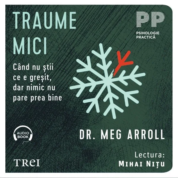 Traume mici. Când nu știi ce e greșit, dar nimic nu pare prea bine - Audiobook - Dr. Meg Arroll