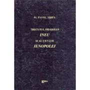 Trecutul orasului Ineu si al cetatii Ienopolei - Preot Pavel Tripa
