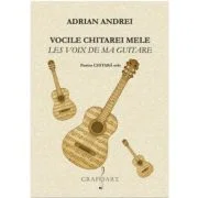 Vocile chitarei mele - Adrian Andrei