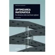 Volumul 19. Mari idei ale matematicii. Optimizarea matematica. In cautarea celei mai bune optiuni - Lucas Lacasa