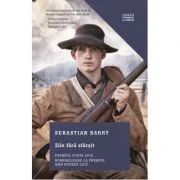 Zile fara sfarsit - Sebastian Barry